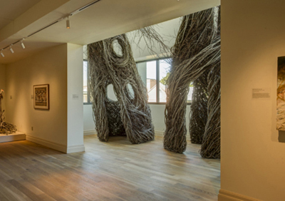 patrick dougherty sculpture installation gibbes museum of art chaleston sc